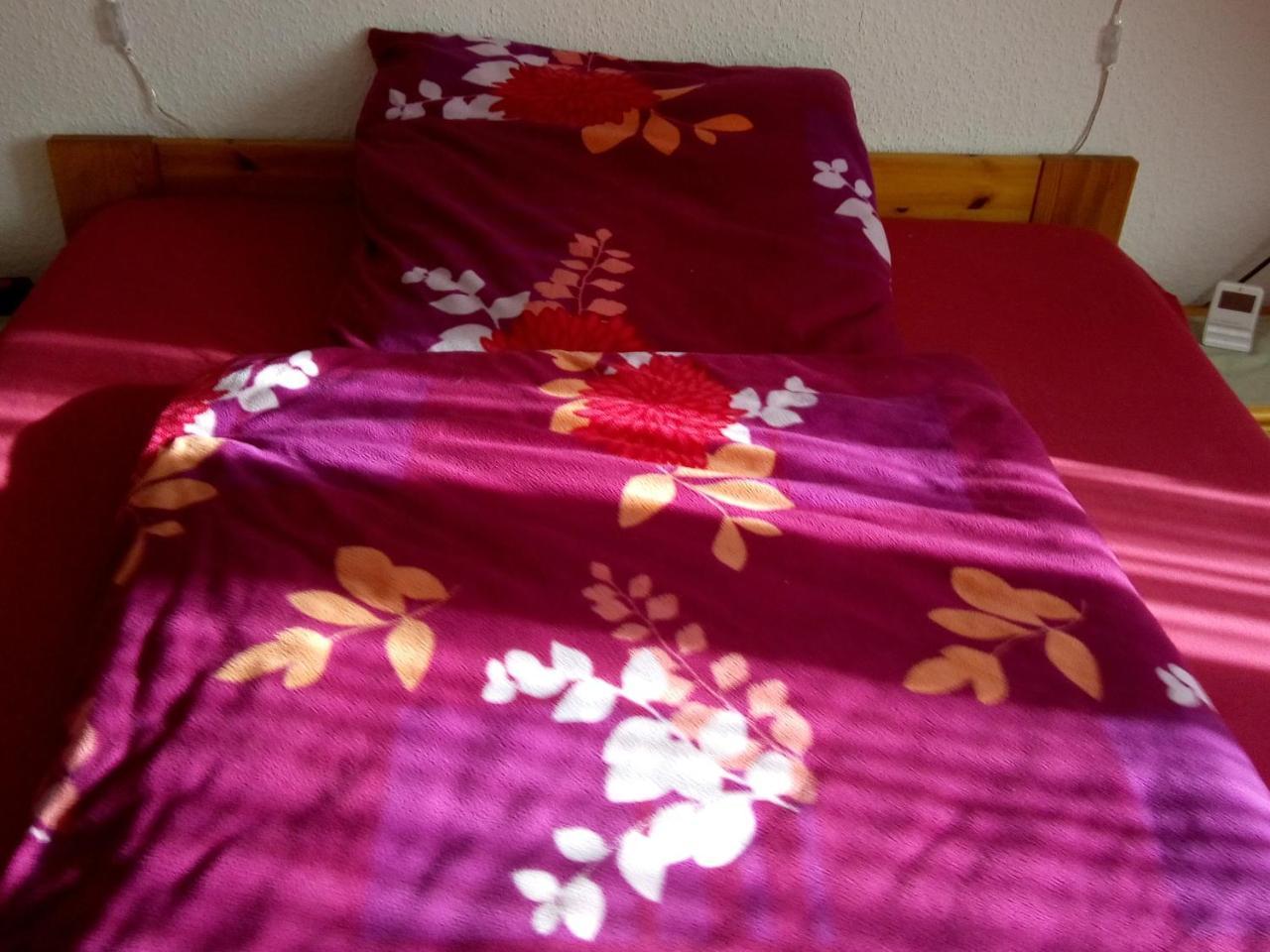 Monteurhotel Garni Alter Olper Hof Lindlar Zewnętrze zdjęcie
